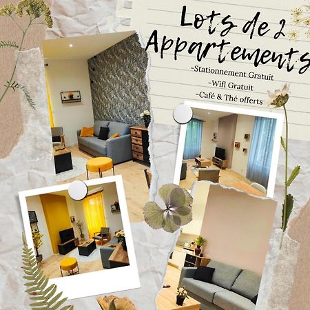 Appartements A Theme Clermont-Ferrand Eksteriør billede